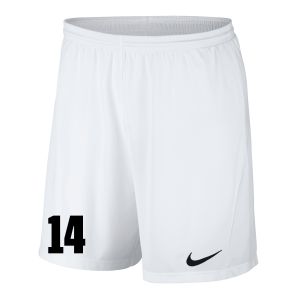 FC FLORA MEESTE LÜHIKESED VÕISTLUSPÜKSID