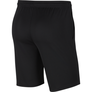 M NK DF PARK20 SHORT KZ