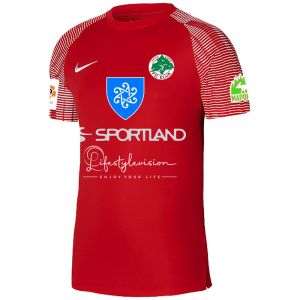 FC ELVA ESINDUSMEESKONNA FÄNNISÄRK