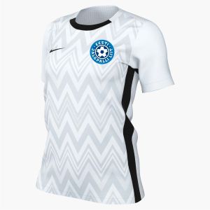 EJL NAISTE FÄNNISÄRK