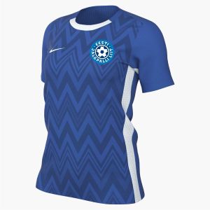 EJL NAISTE FÄNNISÄRK