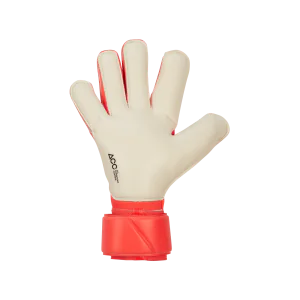 NK GK VG3 - HO24